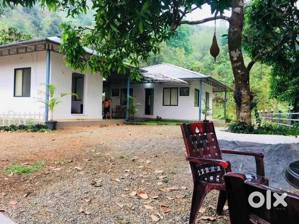 4 acres 87 cent near at palakayam thattu km