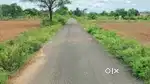 Invest new raipur plot ! Plot size 10000 sqft ! Rate 285 only