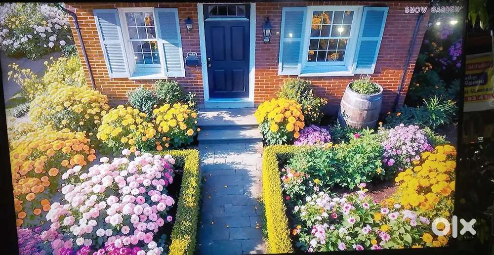 Bpl 43led smart TV working condition for sale at lowest price