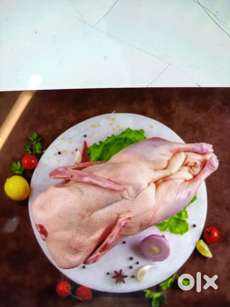 Chef , waiters