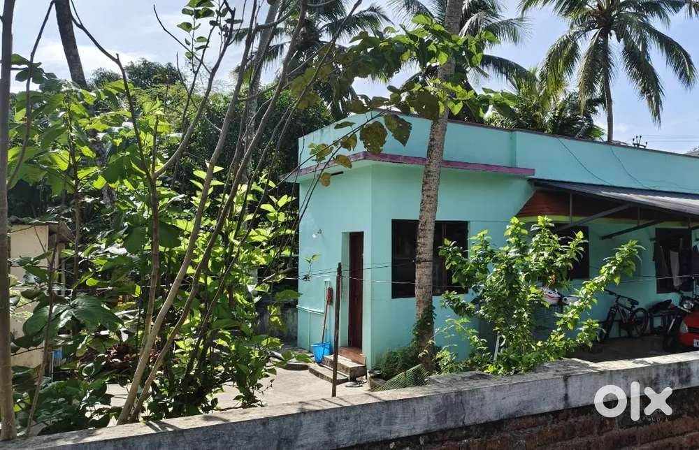 5 Cent Land in Peyad Aruvippuram Road Rs. 6.5 Lakhs