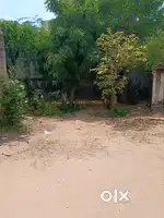 Plot in merta road