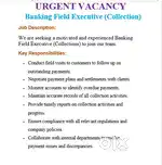 Field Executive