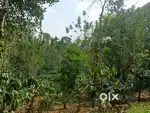 Land for sale 35 cent Anugraha Retreat Center in 5 km only