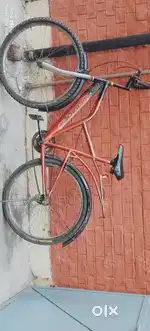 Rajorback Bycycle