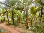 മുക്കം വെസ്റ്റ് മാമ്പറ്റ 15 സെൻ്റ് സ്ഥലം വിൽപ്പനക്ക്