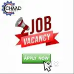 Freshers and experience