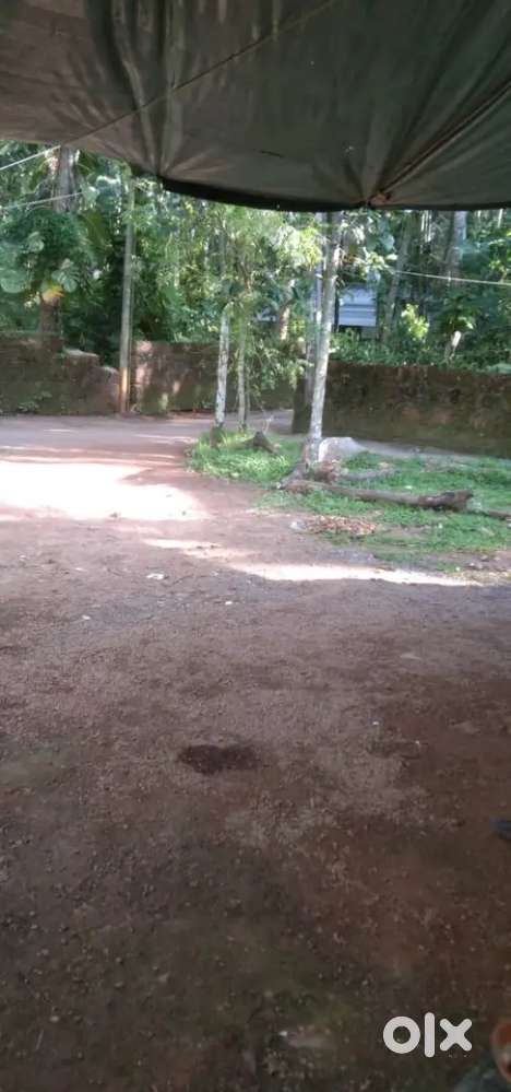 6sent plot smoll house