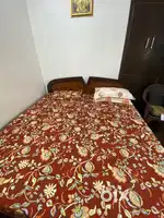 Double bed with Mattress