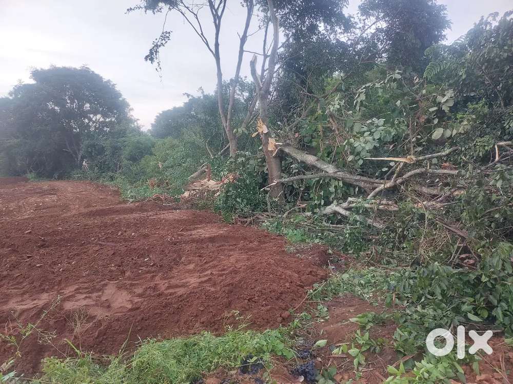 This the best agriculture land, where three roads joint point