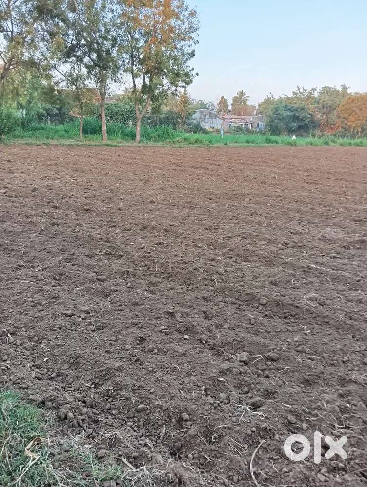 Juni sarat single naam best location form farm amrol aproach road