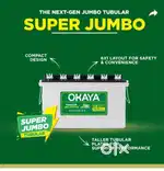 Male  Salesperson  retail shop inverter battery