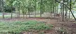 Pulluththu approved land for sale