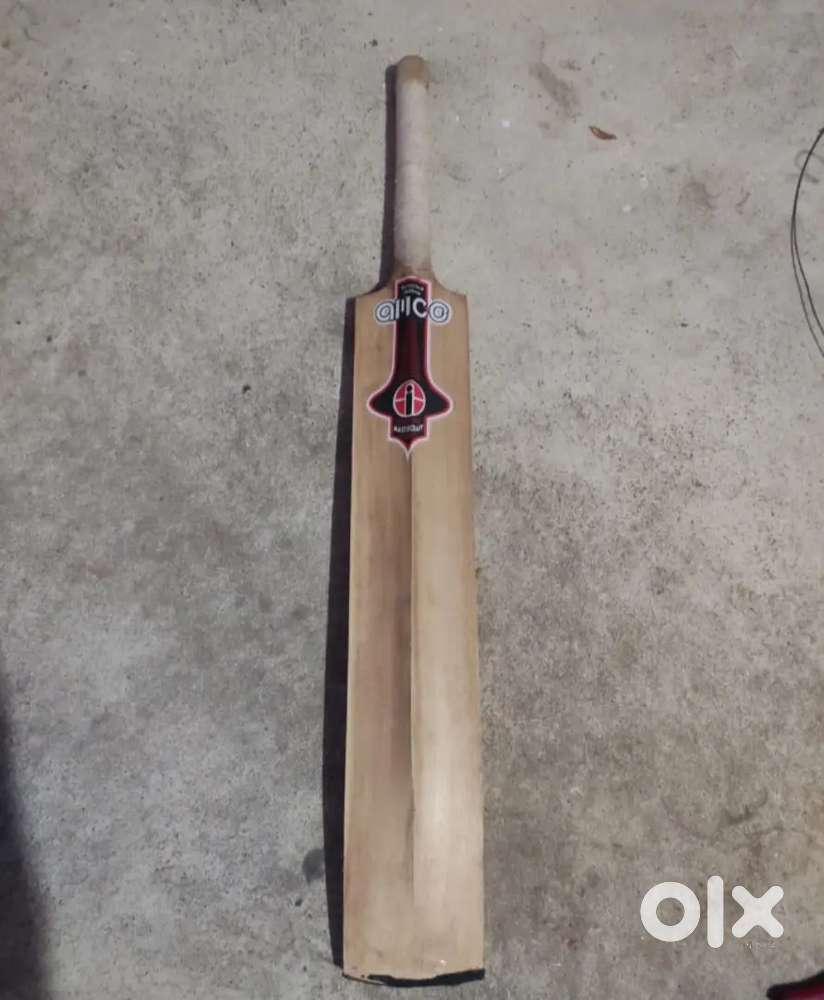 Cricket Bat