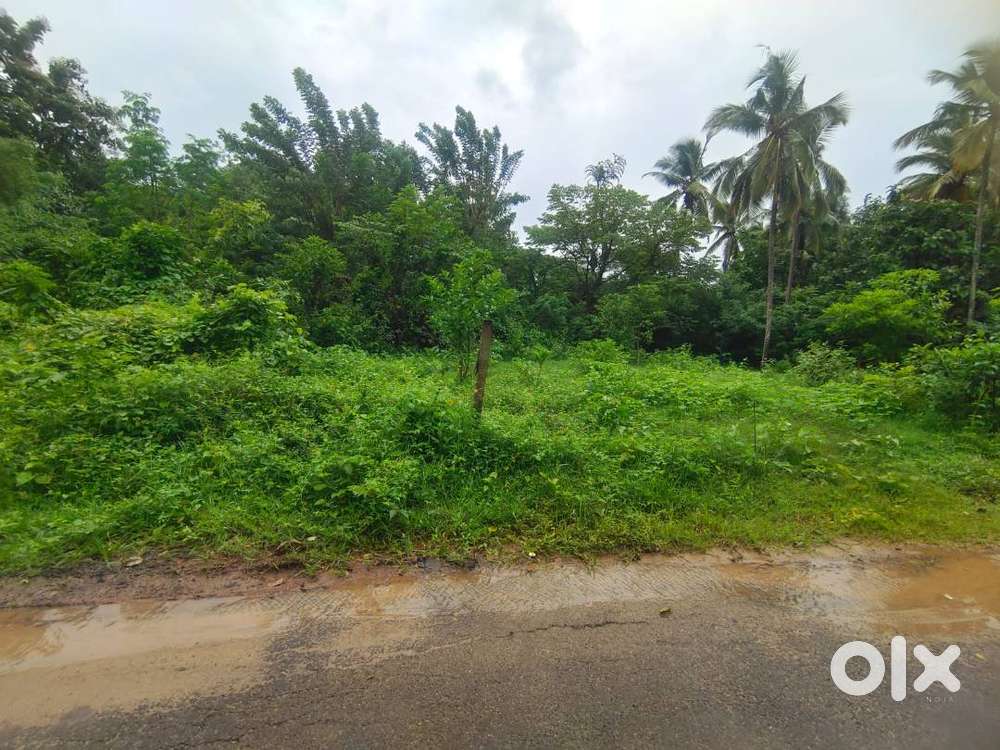 15 Cents Semi-Commercial Plot for Sale – Robinson Road, Palakkad