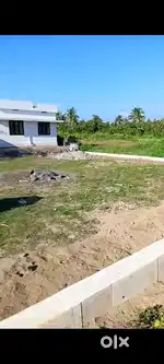 8 and half Cent Plot