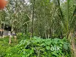 22 cent property for Sale.