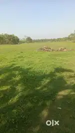 1Bigha to 4Bigha FARMLAND is available for sale near Amtala