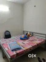 Need a job professional female roomate