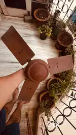 Celling Fan