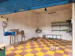 Commercial scale Juicer & Expeller
