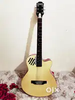 Jamuna Guitar