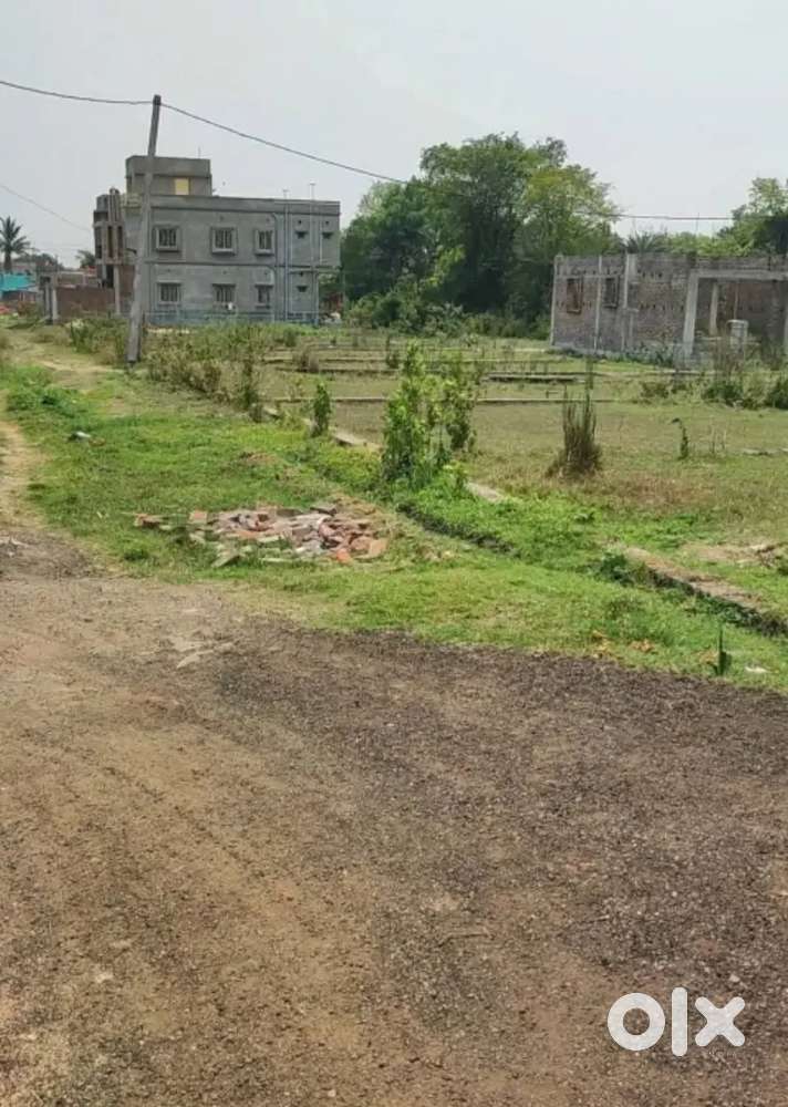 2 KATA 3 KATA PLOT SALE 8 lakhs to 10.50/per kata (FULJHORE )