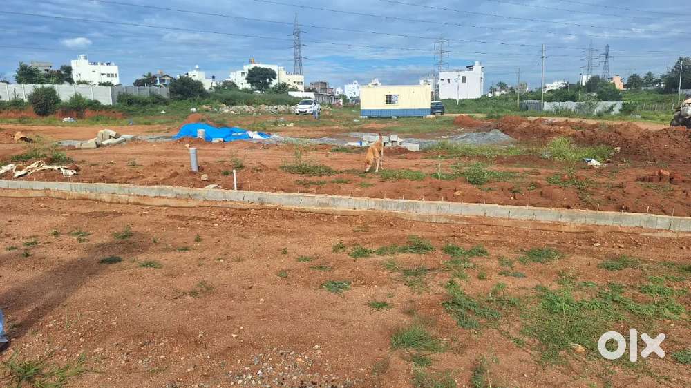 Plot for sale
