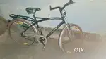 goox condition cycle