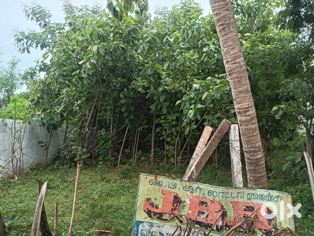 Land for lease