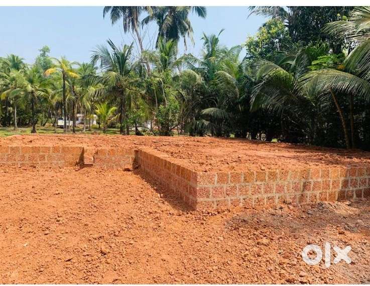 Kannapuram Edakkepuram padinjaaru 8.75 cent land and thara for sale