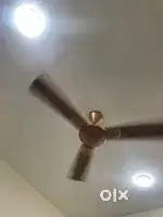 Room’s available at just 3k only