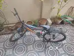 Hercules cycle