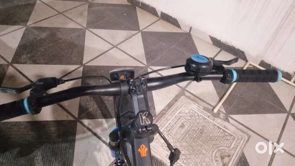 New cycle only 2 months old & like a new