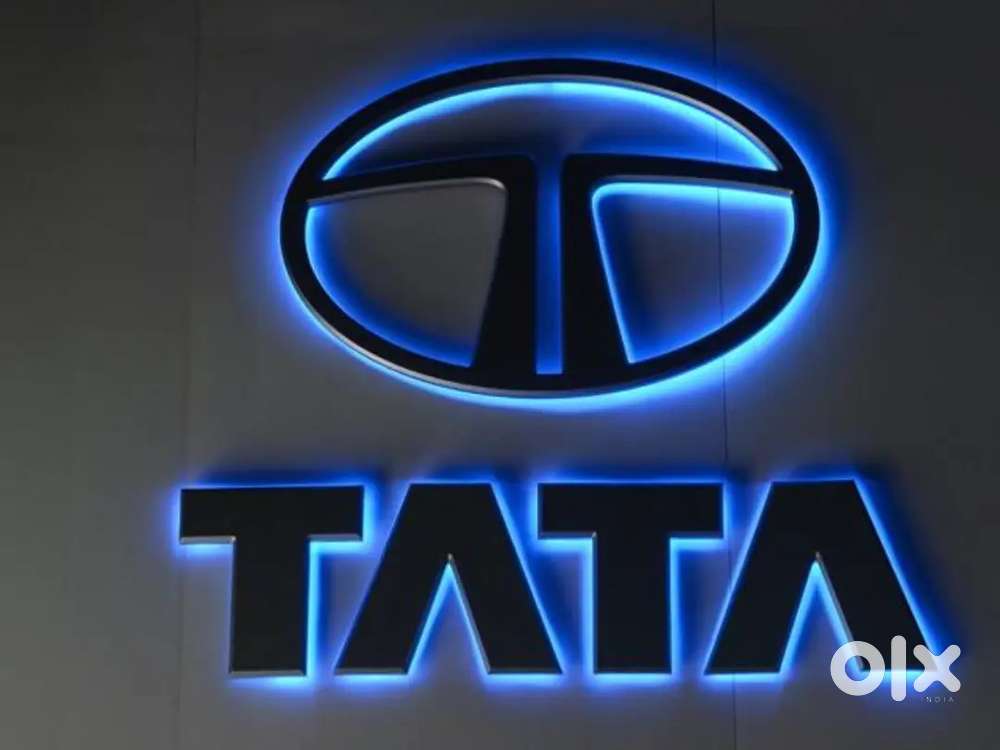 All India based jobs available apply fast