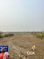 2 bigah Land for sale  road side land NAGAON CHAPANALA (EKSONIYA)