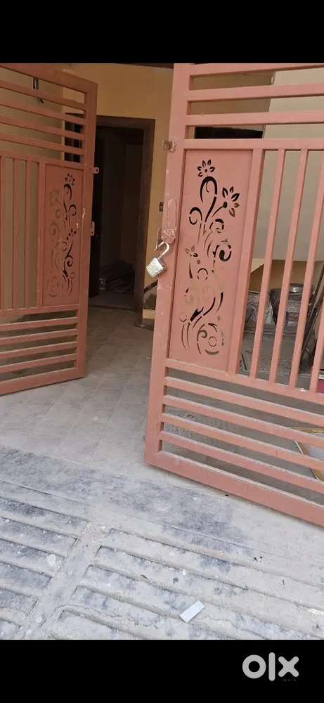 Caps Town colony pigdamber rau