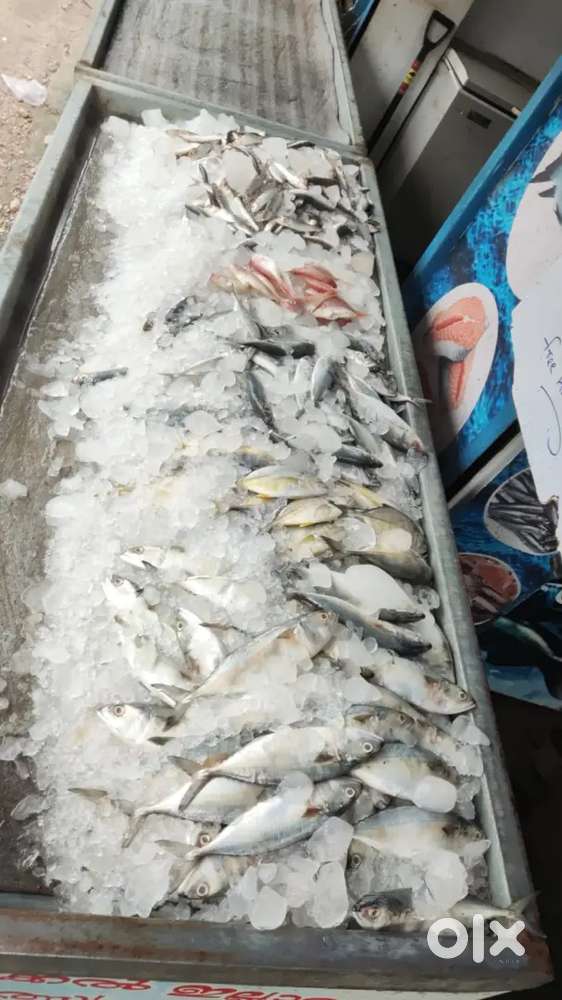 Fish selling and cutting