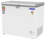 Deepfrizer 1month old and company is Blue Star 215 Lit capacity