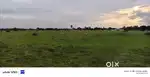 Land  DTCP Appproved