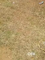 1440  s.f. west facing plot for sale near Akshay park Gokul road Hubli