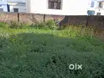 100 square yard plot nirmal bagh b block and 50 guz at nepali farm