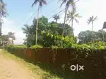 4 cent plot for sale paravur town bus route second plot