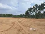 Low Budget Farmland For Sale in Pothanur
