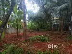 Residential plot