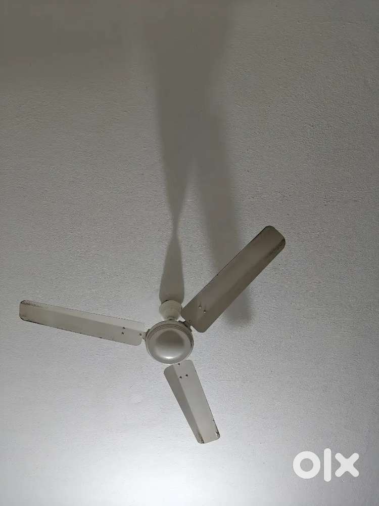 Crompton Ceiling fans