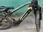 Electric cycle