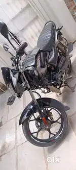 Model November 2023 insurance available for 3 years