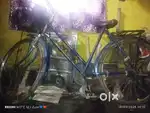 school cycle