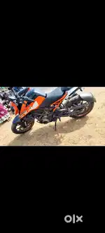 Duke 250 2017